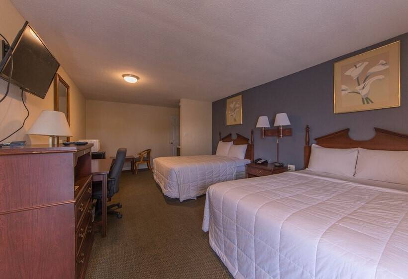 汽车旅馆  Budget Inn