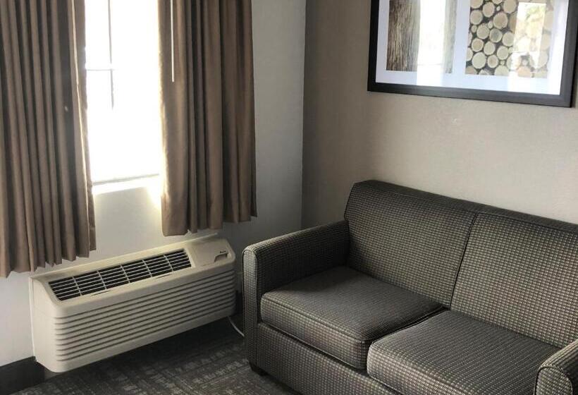 모텔 Executive Inn & Suites Joaquin