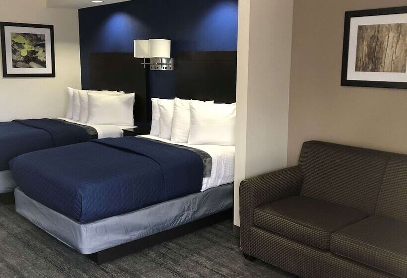 汽车旅馆  Executive Inn & Suites Joaquin