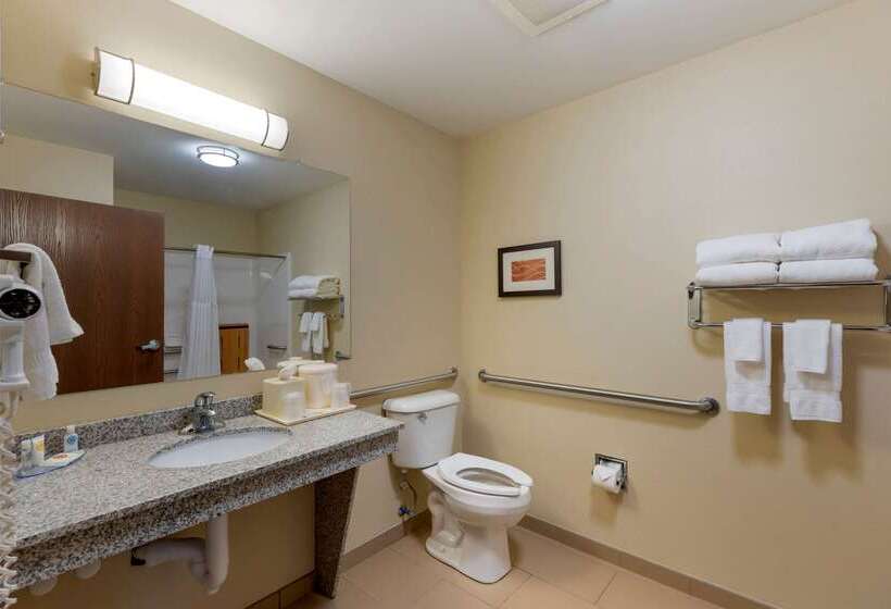 בית מלון כפרי Comfort Inn & Suites Marion I57