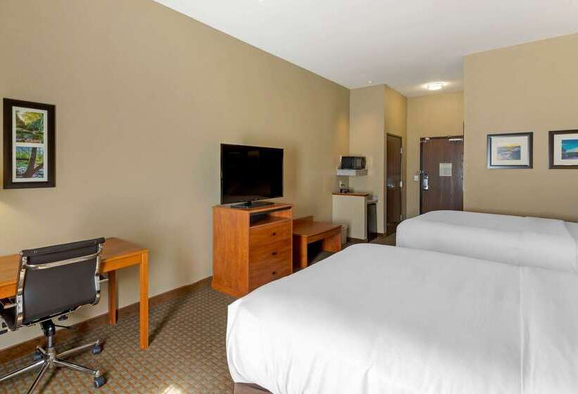 בית מלון כפרי Comfort Inn & Suites Marion I57
