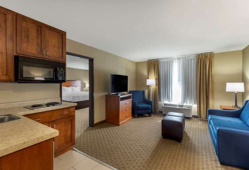 בית מלון כפרי Comfort Inn & Suites Marion I57