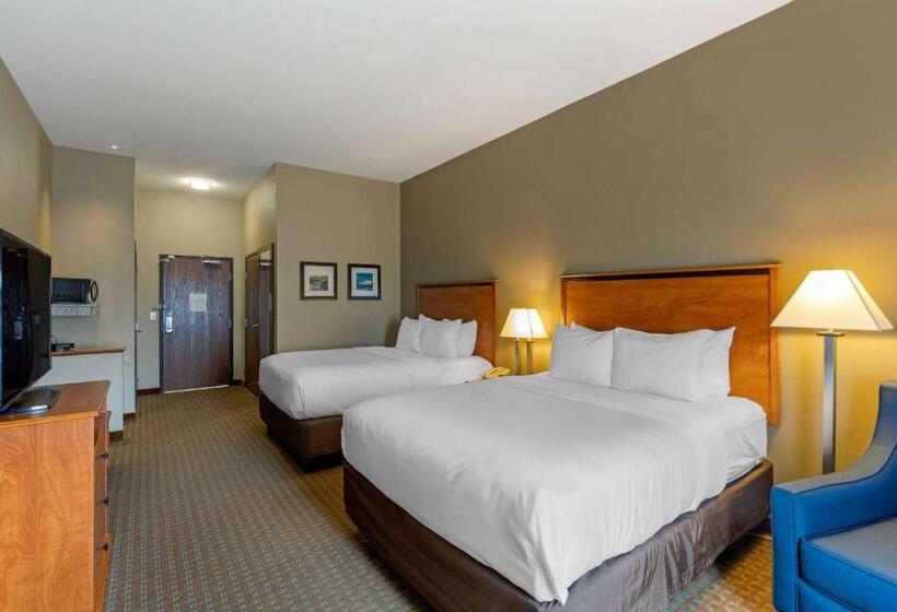בית מלון כפרי Comfort Inn & Suites Marion I57
