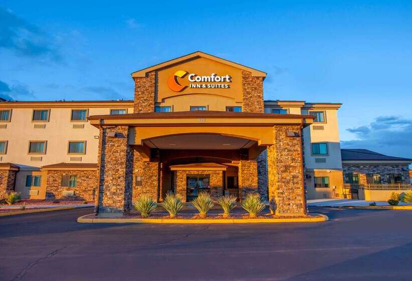 هتل Comfort Inn & Suites Page At Lake Powell