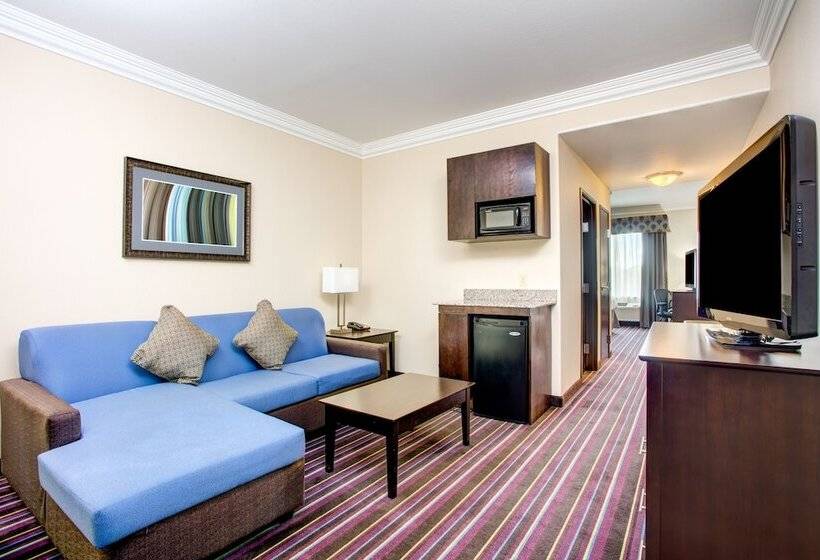 فندق Holiday Inn Express & Suites Raceland   Highway 90, An Ihg