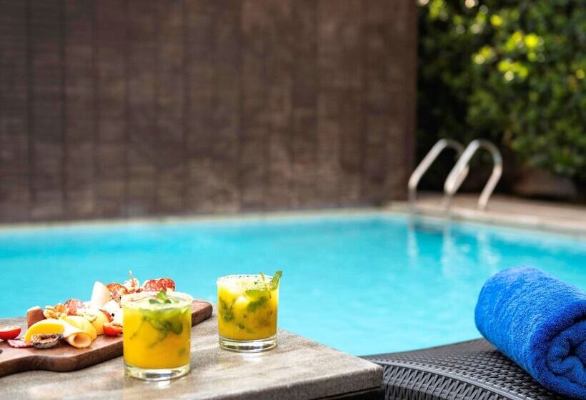 בית מלון כפרי Pullman Santiago Vitacura