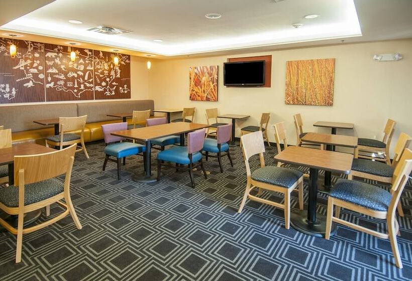 Towneplace Suites By Marriott Baton Rouge Gonzales