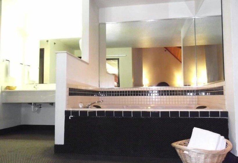 ホテル Amerihost Inn & Suites Fulton
