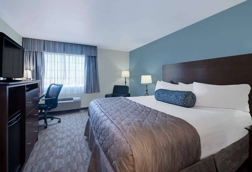 ホテル Baymont By Wyndham Minot