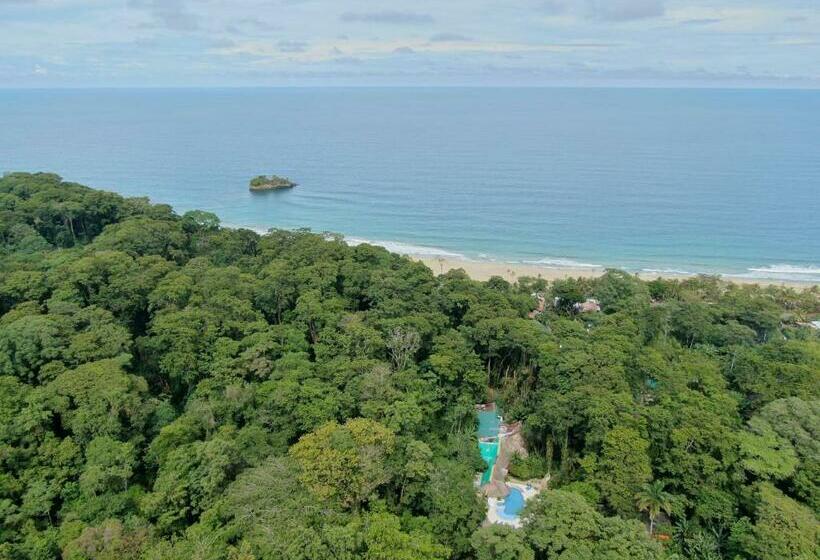 فندق Cariblue Beach and Jungle Resort