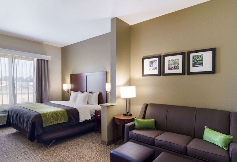 فندق Comfort Inn Blackshear Hwy 84