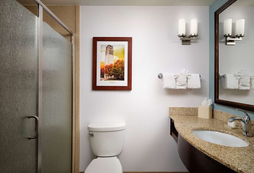 هتل Hilton Garden Inn Ann Arbor