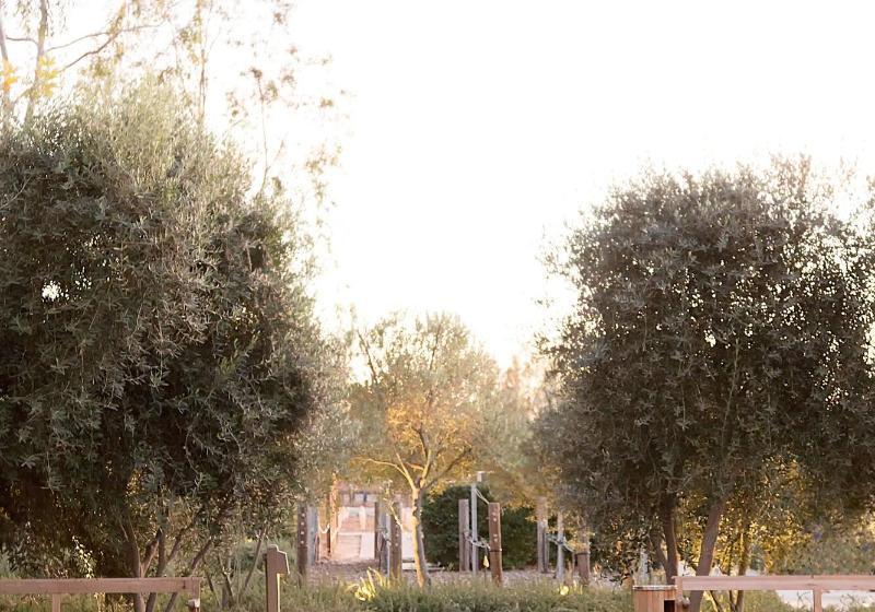 בית מלון כפרי Ponte Vineyard Inn