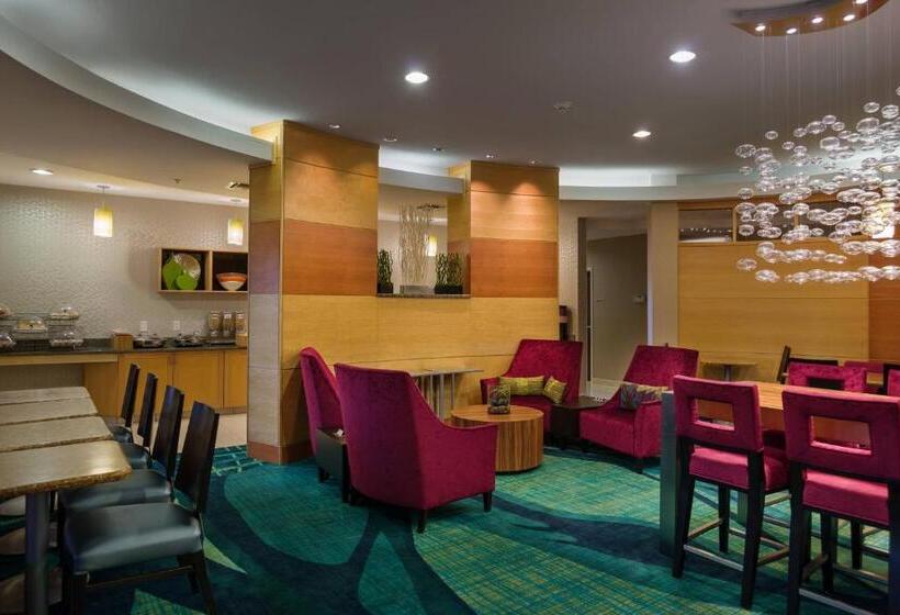 בית מלון כפרי Springhill Suites St Petersburg Clearwater