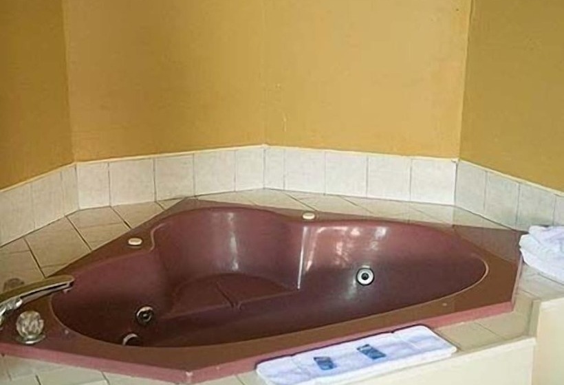 فندق على الطريق Budget Motor Lodge