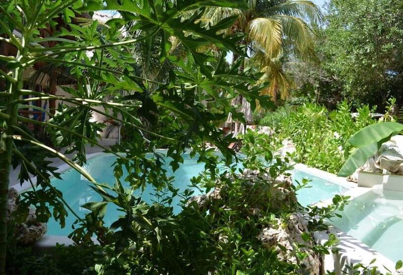 هتل Casa Iguana Holbox   Beachfront