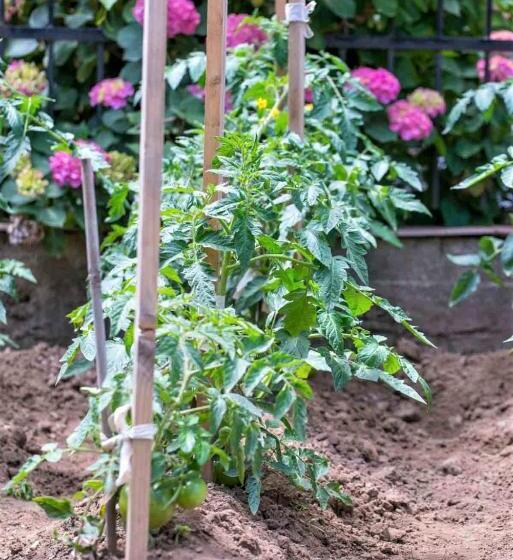 هتل Pegasus Adult Friendly