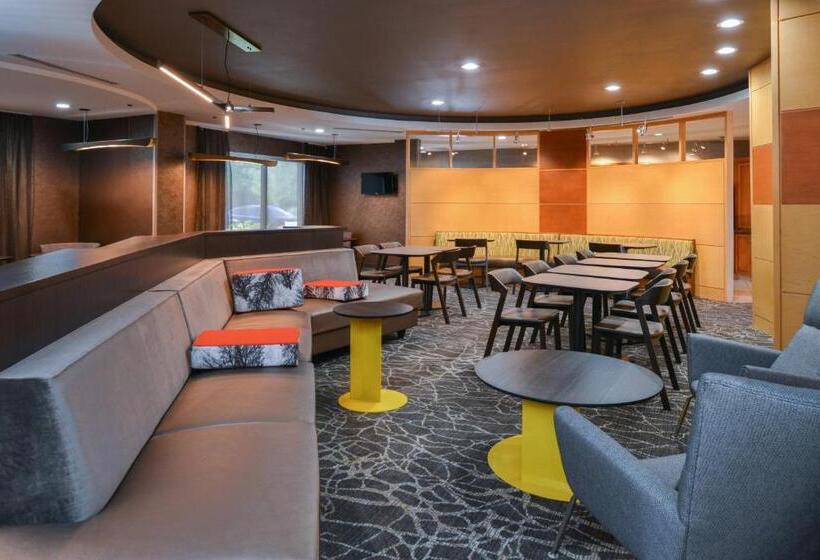 فندق Springhill Suites By Marriott Lancaster Palmdale