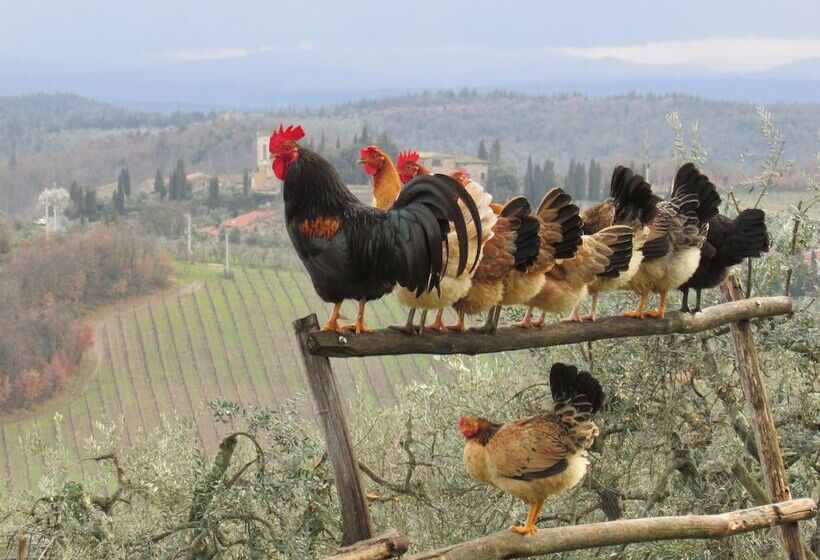 Le Terrazze Del Chianti B&b Residenza D Epoca E Di Charme