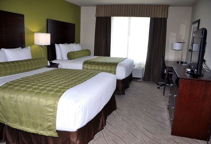 Отель Cobblestone Inn & Suites   Holyoke