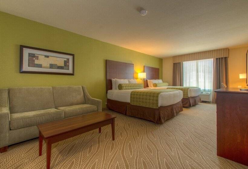 Отель Cobblestone Inn & Suites   Holyoke