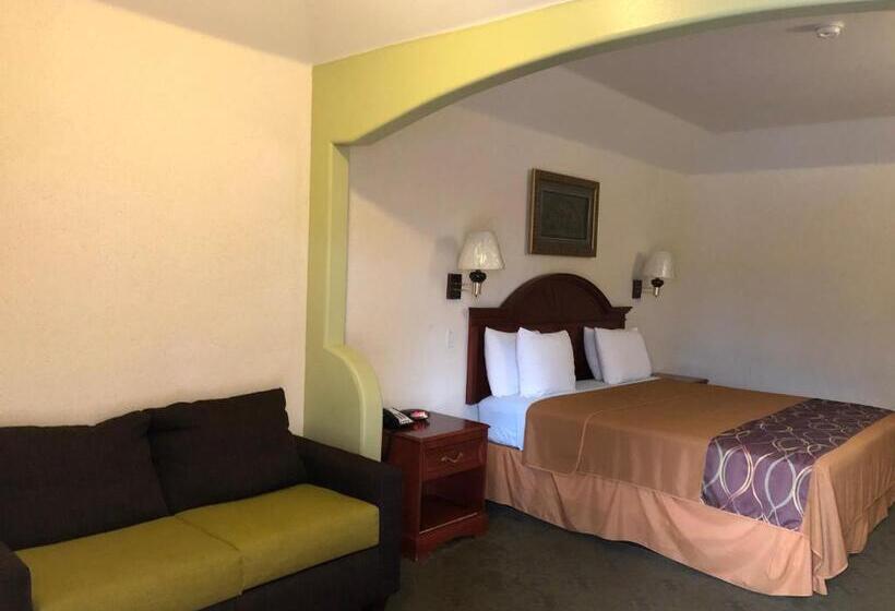 酒店 Porter Executive Inn & Suites