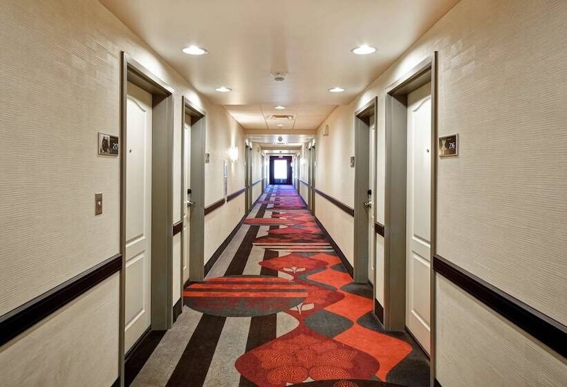 酒店 Hampton Inn Middletown