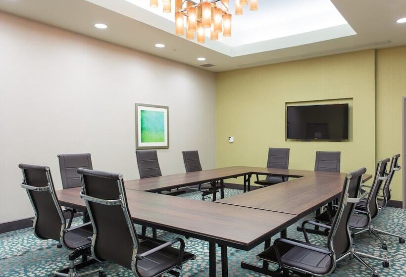 酒店 Holiday Inn Texarkana Arkansas Convention Center, An Ihg