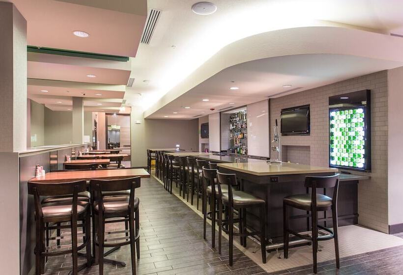 酒店 Holiday Inn Texarkana Arkansas Convention Center, An Ihg