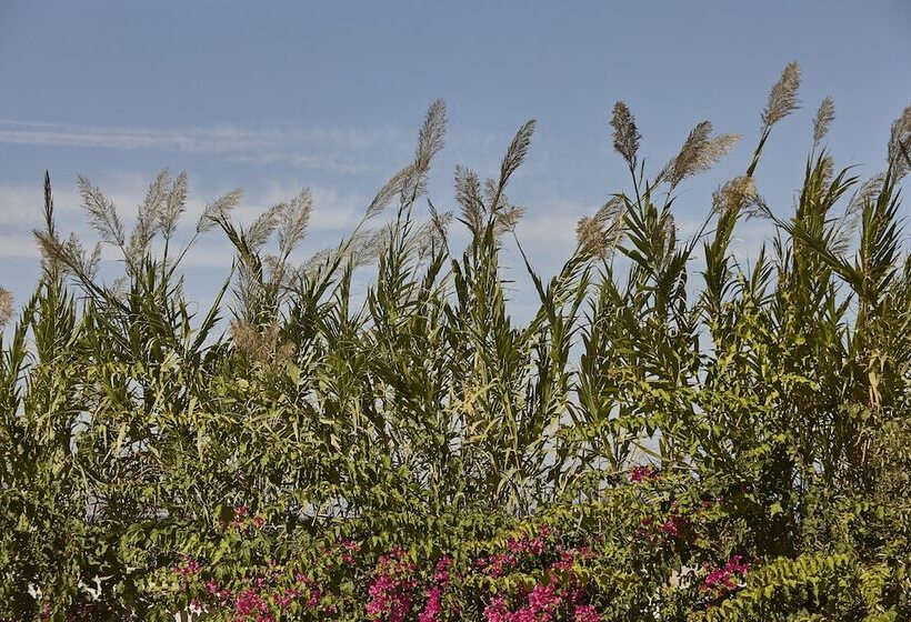 ホテル Ammos Luxury Resort