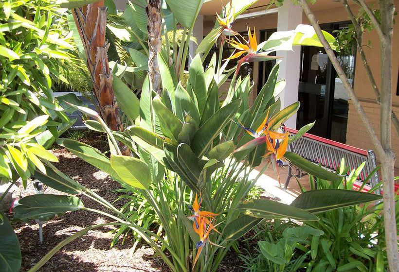 فندق Camino Inn & Suites