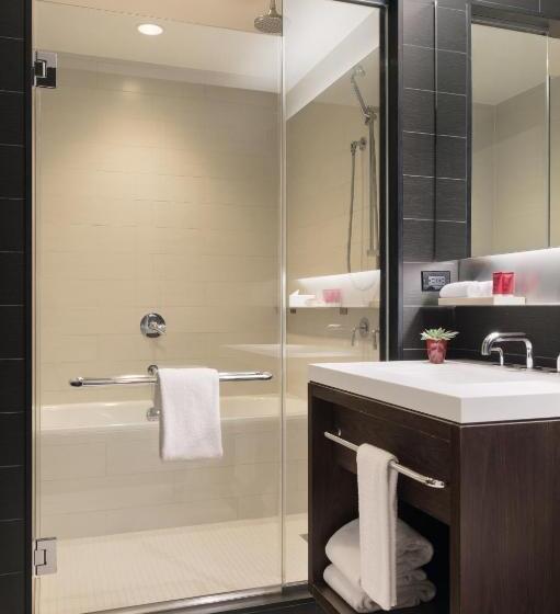 酒店 Hyatt Centric Times Square New York