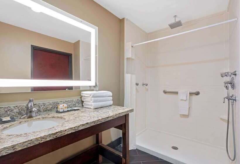 هتل La Quinta By Wyndham Houston Willowbrook