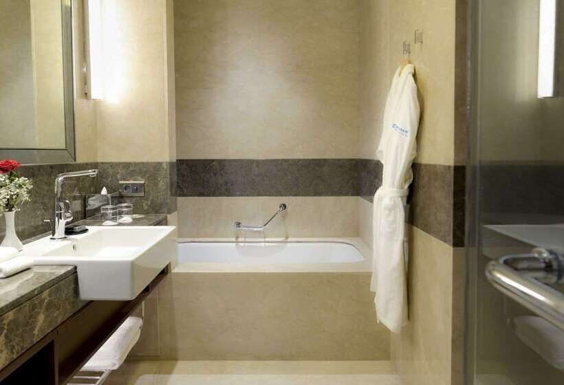 ホテル Wyndham Grand Istanbul Europe