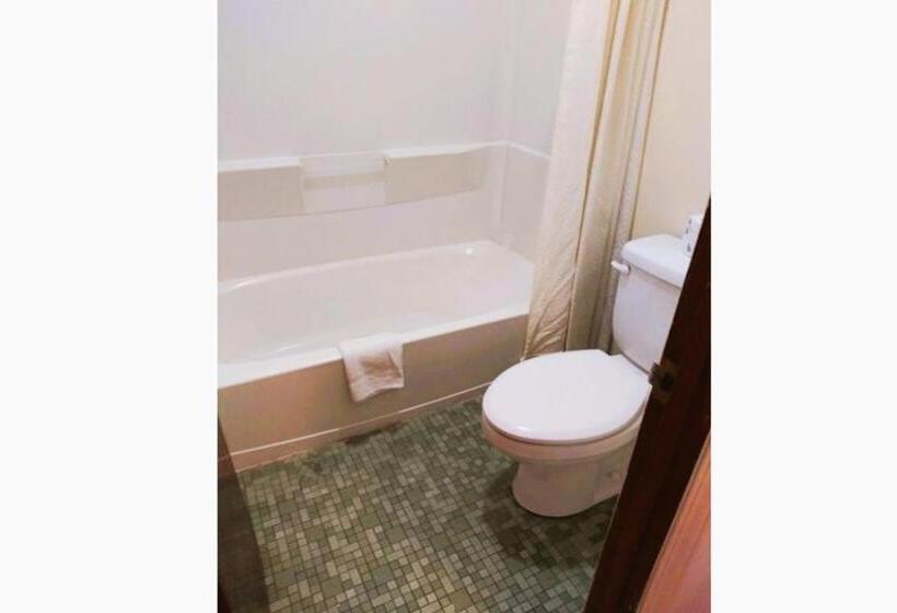 فندق على الطريق Holiday Lodge Virginia