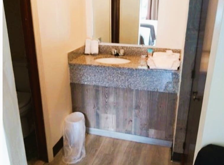 فندق على الطريق Holiday Lodge Virginia