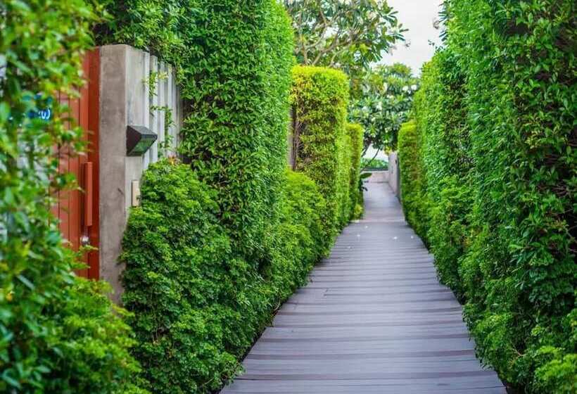 استراحتگاه Synergy Samui