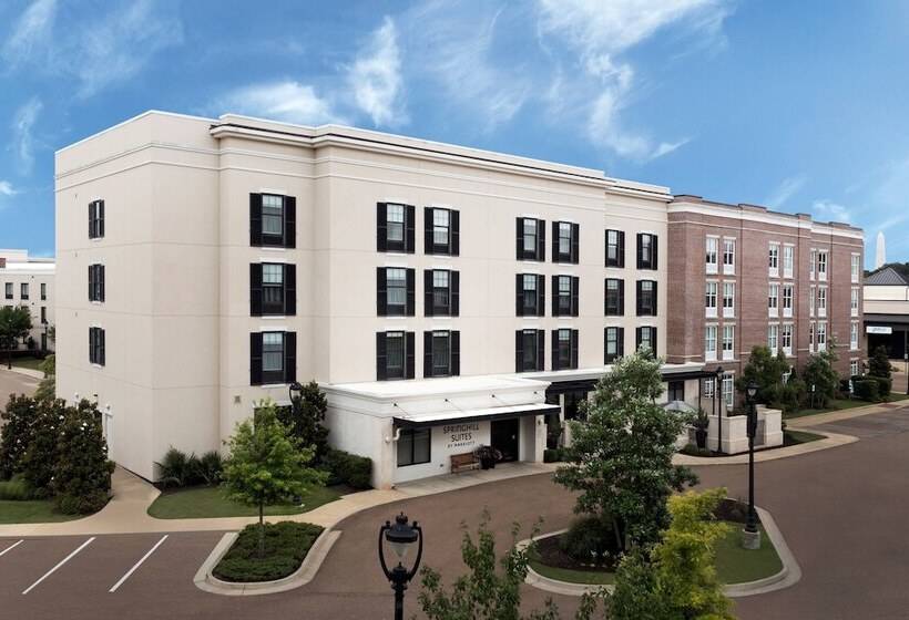Springhill Suites By Marriott Jackson North/ridgeland