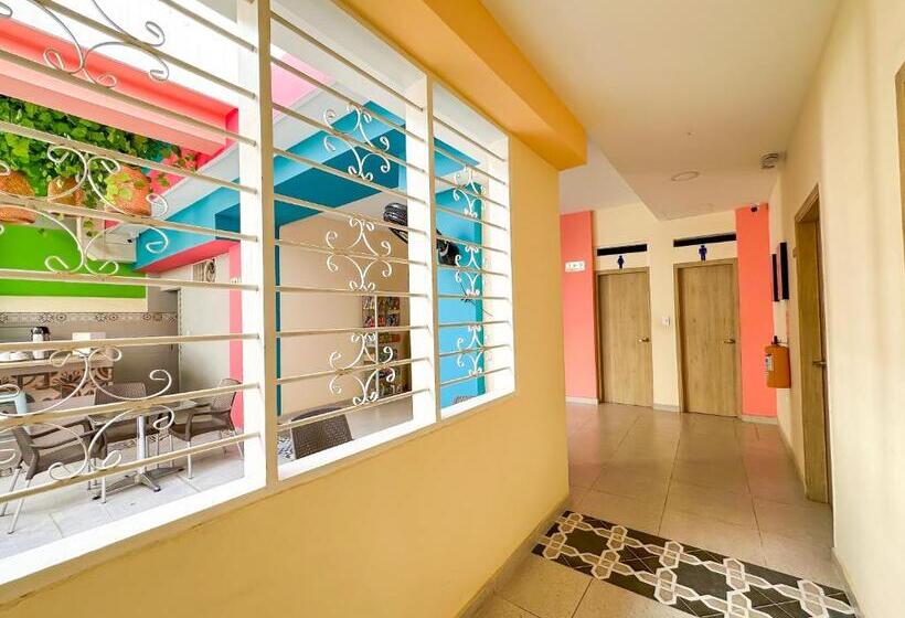 هتل Zamay Centro Historico