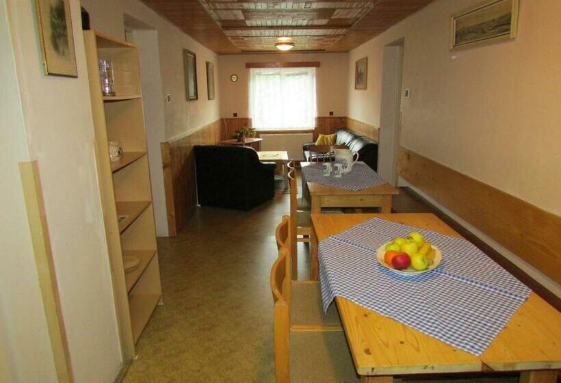 پانسیون Ubytování 113