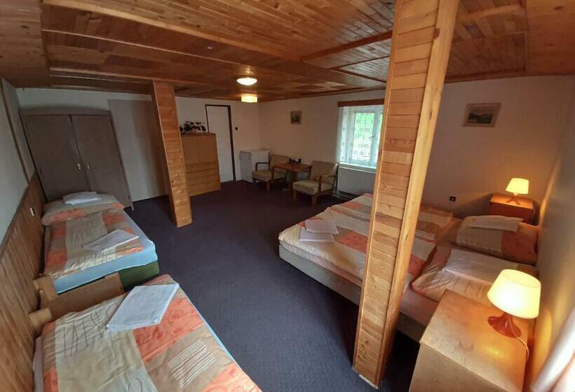 پانسیون Ubytování 113