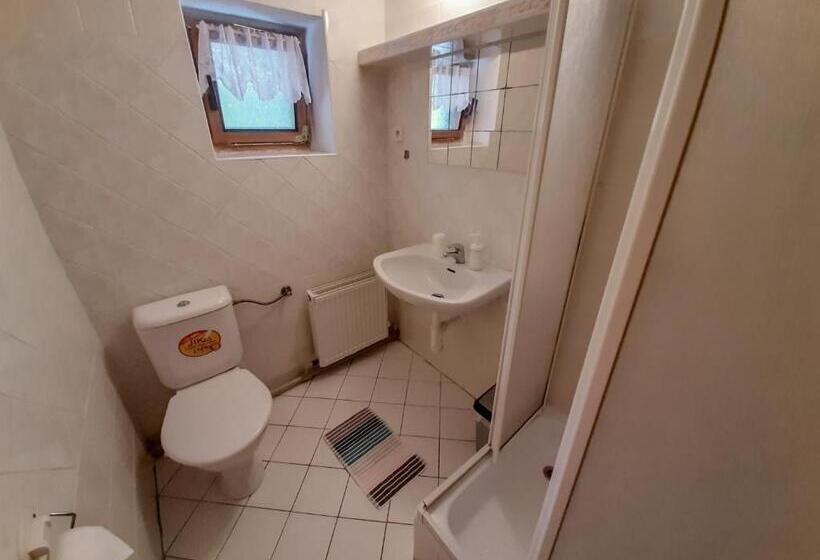 پانسیون Ubytování 113