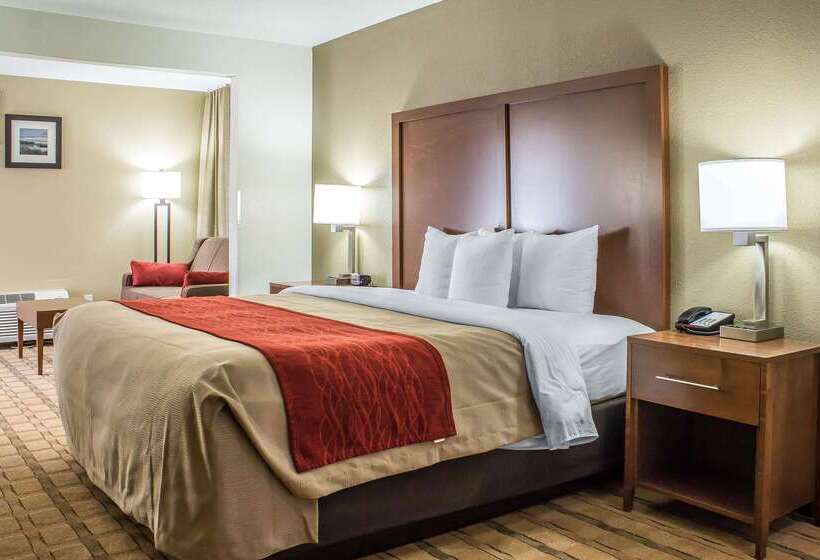 هتل Comfort Inn & Suites Cedar Rapids North  Collins Road