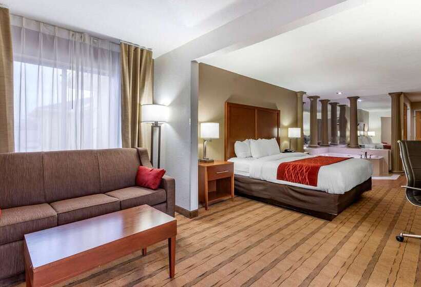 هتل Comfort Inn & Suites Cedar Rapids North  Collins Road