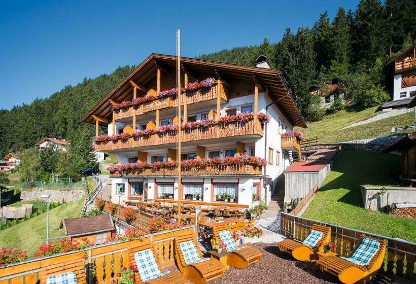 Bed and Breakfast Mountain Residence Alpenhof   Company Hotel Alpenhof Kg Sas Der Gasser Renate