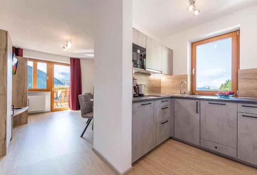 住宿加早餐  Mountain Residence Alpenhof   Company Hotel Alpenhof Kg Sas Der Gasser Renate
