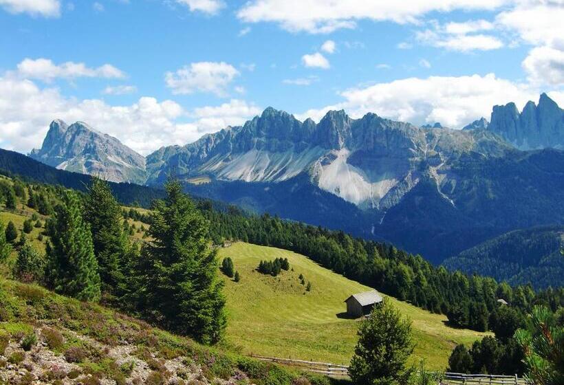 مبيت وإفطار Mountain Residence Alpenhof   Company Hotel Alpenhof Kg Sas Der Gasser Renate