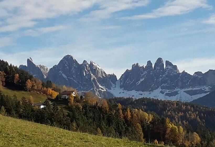 مبيت وإفطار Mountain Residence Alpenhof   Company Hotel Alpenhof Kg Sas Der Gasser Renate