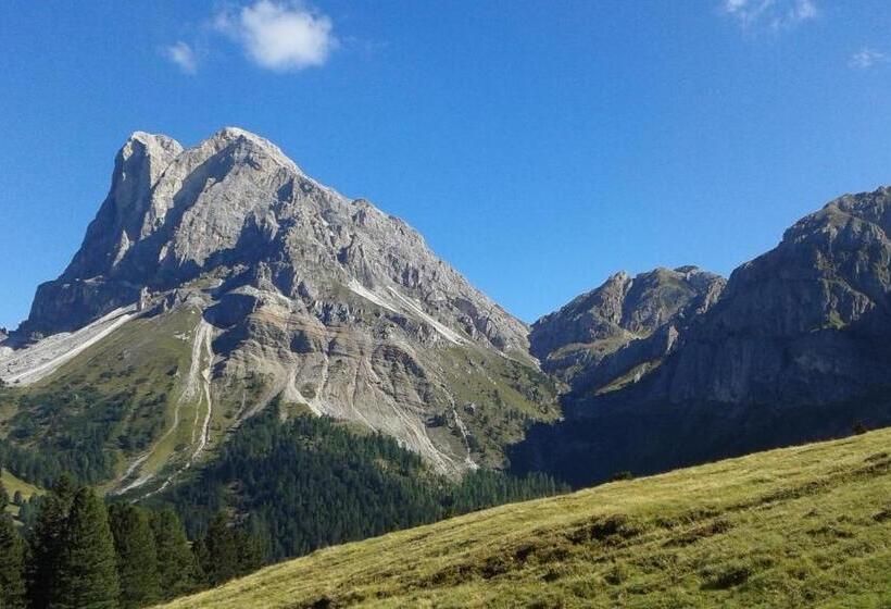 مبيت وإفطار Mountain Residence Alpenhof   Company Hotel Alpenhof Kg Sas Der Gasser Renate