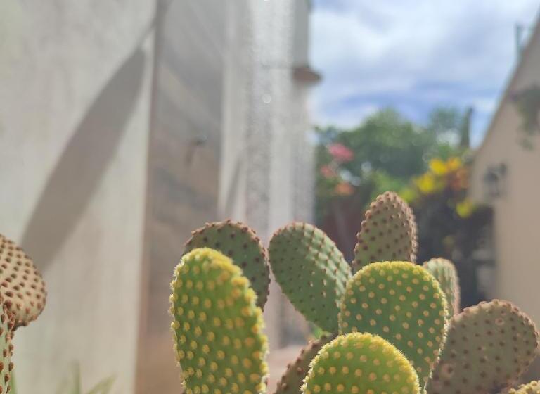 ペンション Suítes De Ventto Em Popa   São Miguel Do Gostso